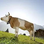 Alpinhotel Bort جريندلوالد