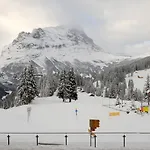 Alpinhotel Bort 3* جريندلوالد
