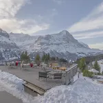 Alpinhotel Bort 3* جريندلوالد