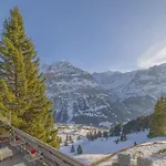 فندق Alpinhotel Bort جريندلوالد