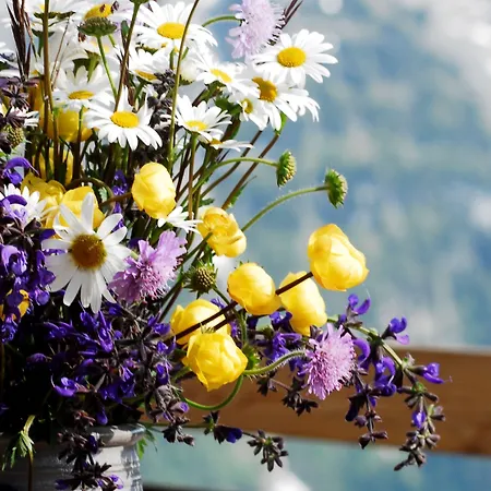 Otel Alpinhotel Bort 3*