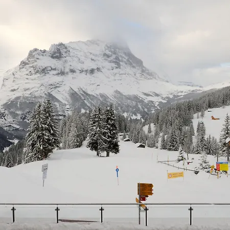 Alpinhotel Bort 3* Гриндельвальд