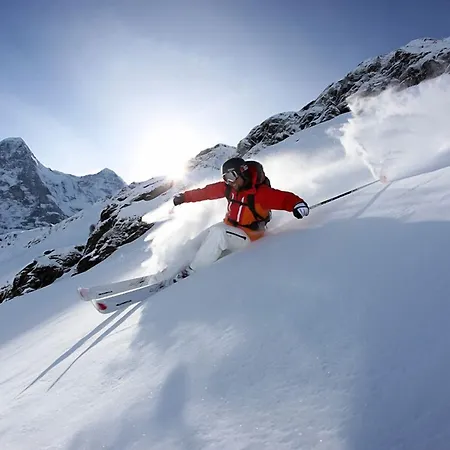 Alpinhotel Bort Grindelwald