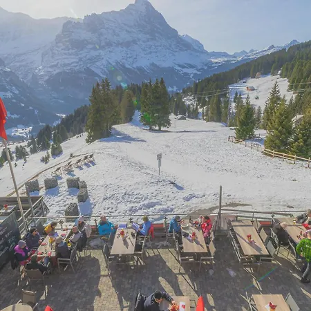 Hotel Alpinhotel Bort Grindelwald