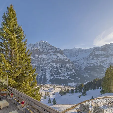 Hotel Alpinhotel Bort Grindelwald