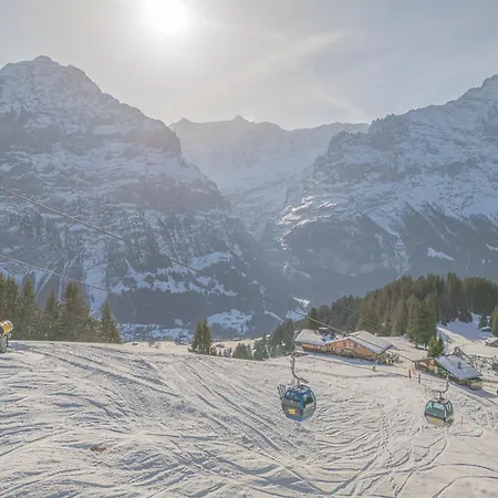 Alpinhotel Bort Hotel Grindelwald
