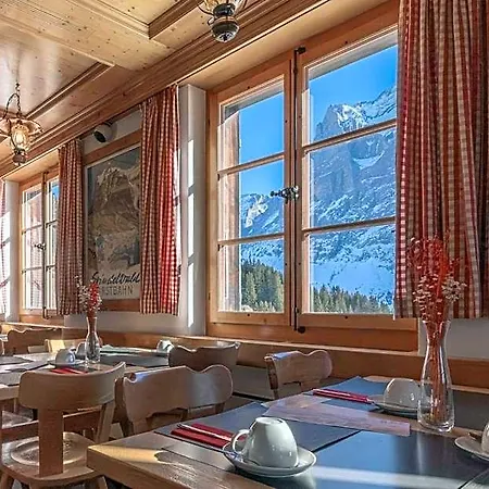 Hotel Alpinhotel Bort Grindelwald