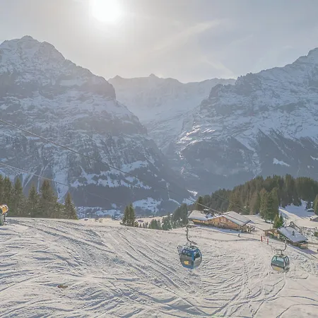 Otel Alpinhotel Bort