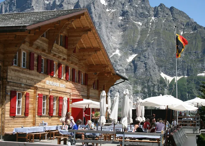 Ξενοδοχείο Alpinhotel Bort Γκρίντελβαλντ