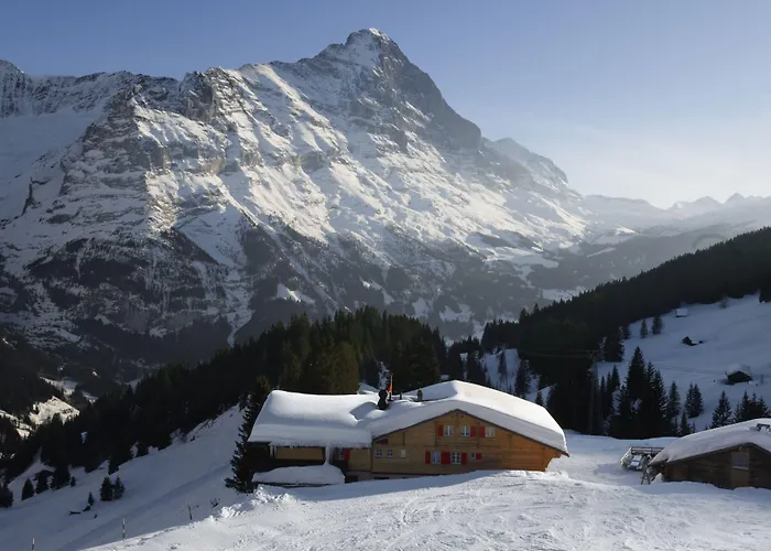 Hotel Alpinhotel Bort 3*