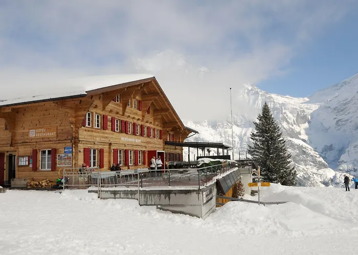 Alpinhotel Bort Ξενοδοχείο