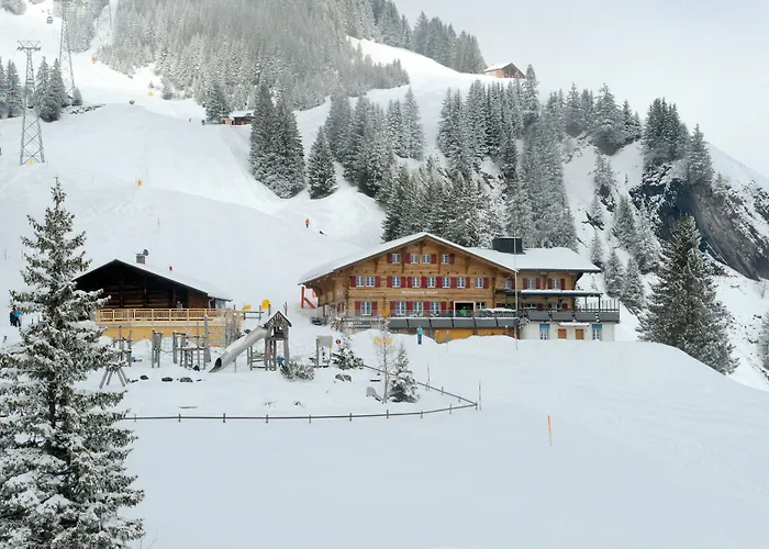 Alpinhotel Bort Ξενοδοχείο Γκρίντελβαλντ