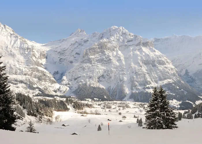 Hotel Alpinhotel Bort