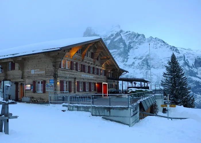 Ξενοδοχείο Alpinhotel Bort