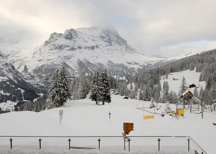 Alpinhotel Bort 3* Grindelwald