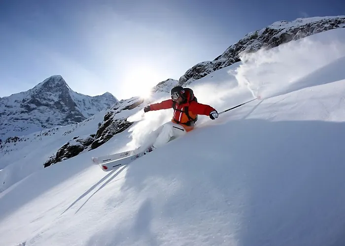 Alpinhotel Bort Grindelwald