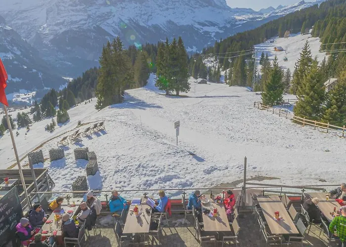 Hotel Alpinhotel Bort Grindelwald