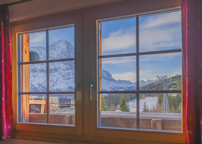 Alpinhotel Bort 3* Grindelwald