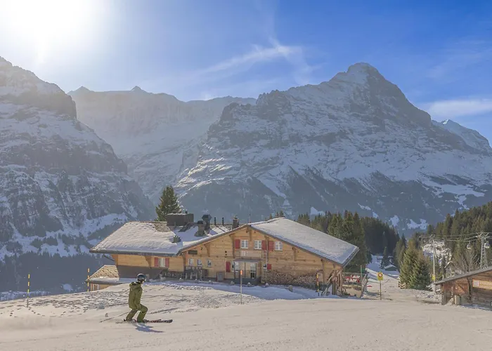 Alpinhotel Bort Hotel Grindelwald