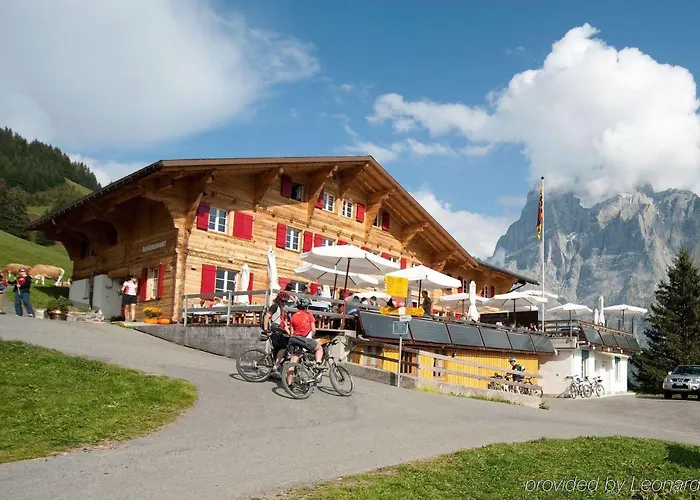 Alpinhotel Bort Hotel Grindelwald