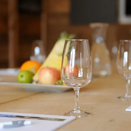 Alpinhotel Bort Hotel Grindelwald