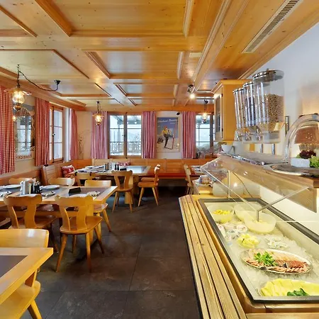 Hotel Alpinhotel Bort Grindelwald
