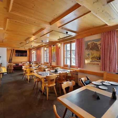 Hotel Alpinhotel Bort