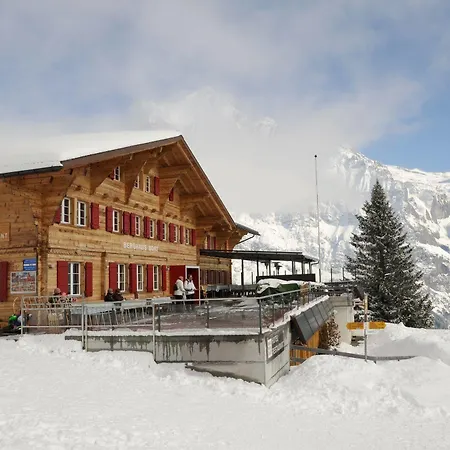Alpinhotel Bort Hotel Grindelwald