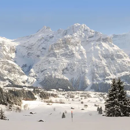 Alpinhotel Bort 3* Grindelwald