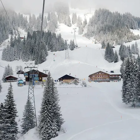 Alpinhotel Bort Hotel Grindelwald