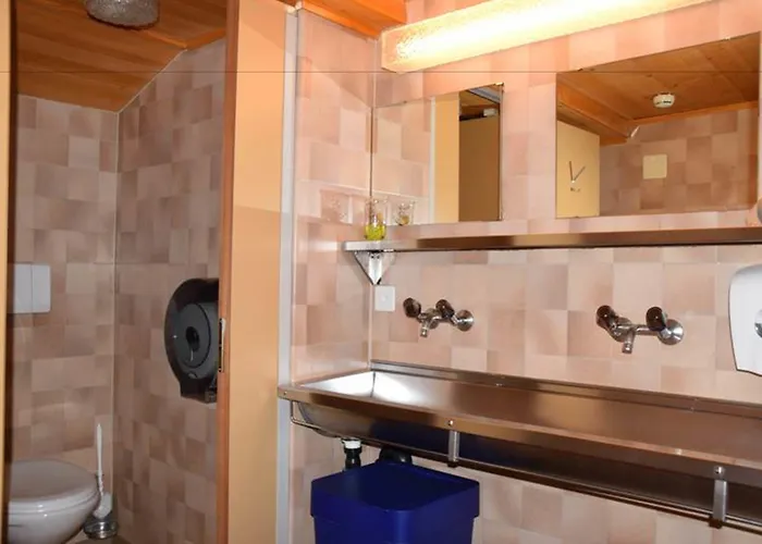 Alpinhotel Bort Hotel Grindelwald